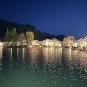 須坂市・臥龍公園の夜桜｜幻想的な春の風景と地域の魅力